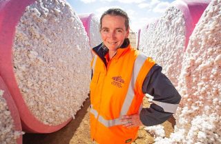 International Women’s Day 2023! #crackingthecode #IWD2023 #womenincotton #wincott #embraceequity